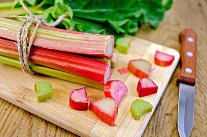 fresh rhubarb stalks and a bowl of hazelnuts on a kitchen counter