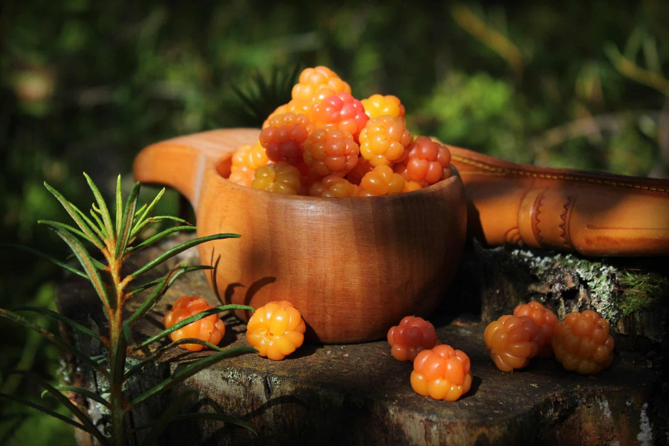 Nordic landscape with cloudberries