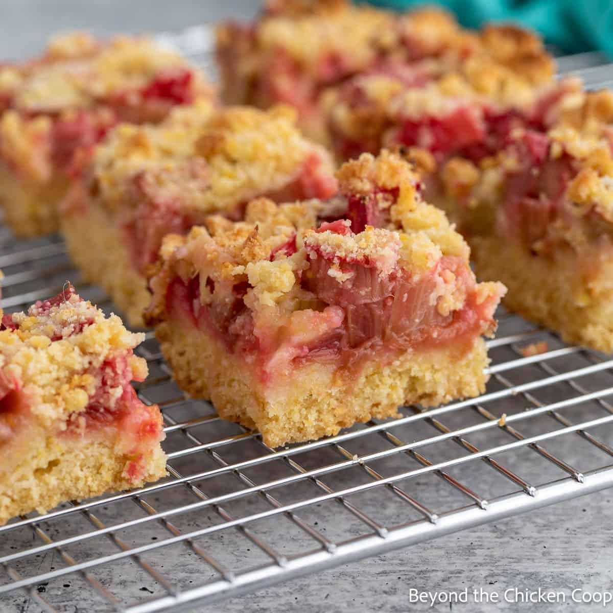 rhubarb bars fresh out of the oven, sliced and ready to serve