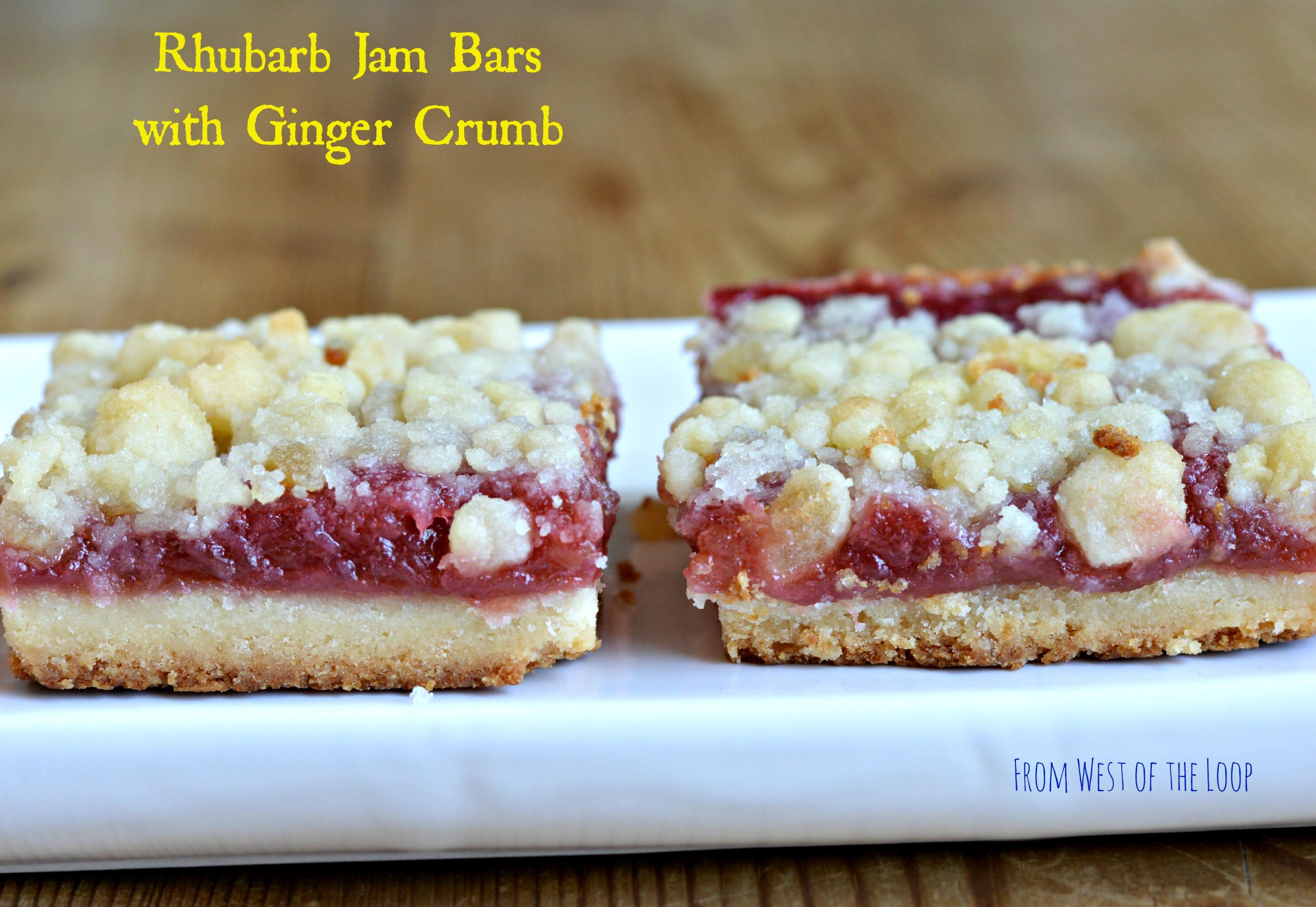 Overhead shot of finished Gingerbread Gem Rhubarb Treat
