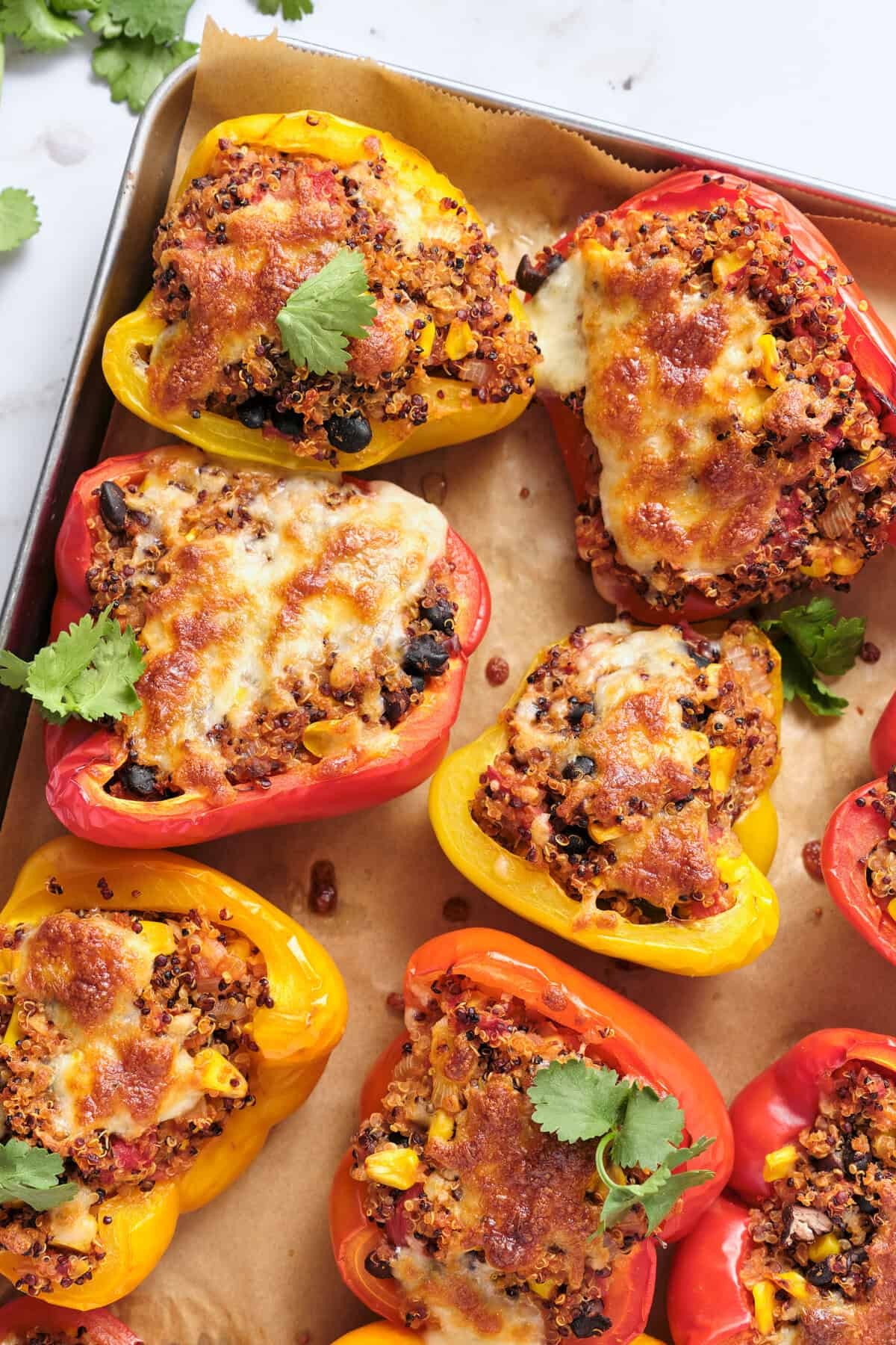 Vibrant quinoa stuffed bell peppers baked, garnished with fresh herbs
