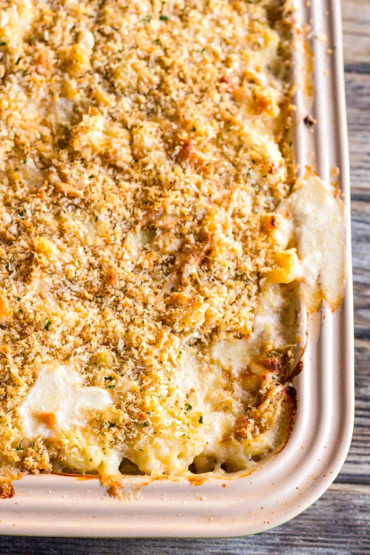 comforting cheesy cauliflower mac and cheese bake with golden breadcrumbs